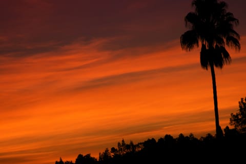 Post image for Los Angeles Sunrise