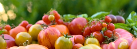 Post image for Heirloom Tomatoes