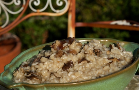 Post image for Wild Mushroom Risotto