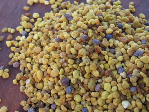 Post image for 7 Reasons To Eat Bee Pollen