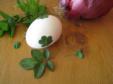 Thumbnail image for Easter Eggs Naturally Dyed with Onion Skins