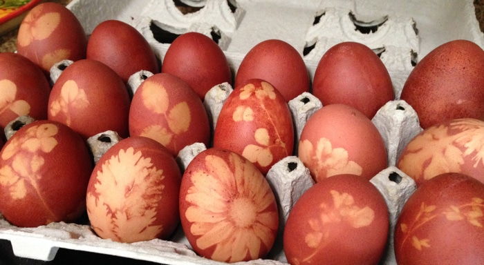 Carton of Homemade Easter Eggs Naturally Dyed with Onion Skins and Flowers