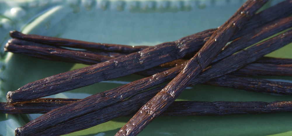Cool Facts About Vanilla 