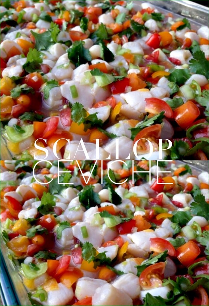Scallop Ceviche Recipe