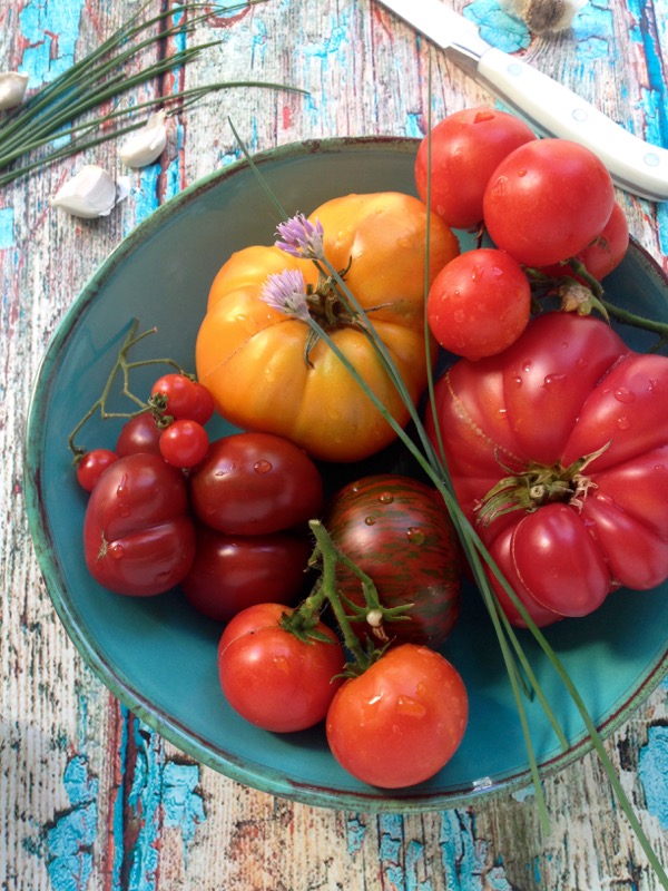 Bowl of Fresh Heirloom Tomatoes for Puttanesca Salad 