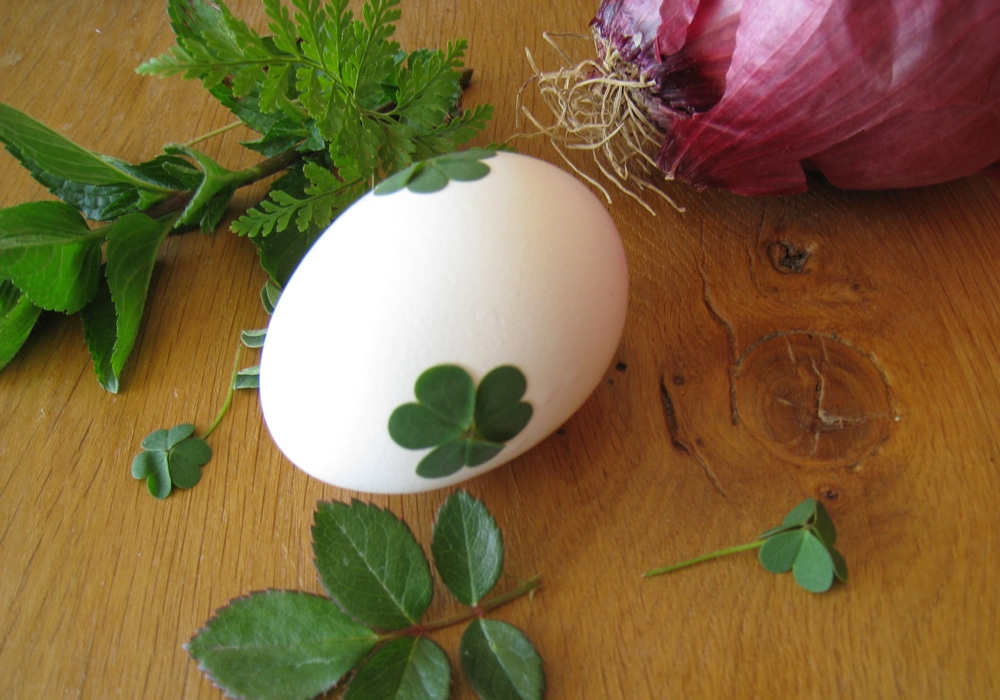 Easter Eggs Naturally Dyed with Onion Skins and Herbs