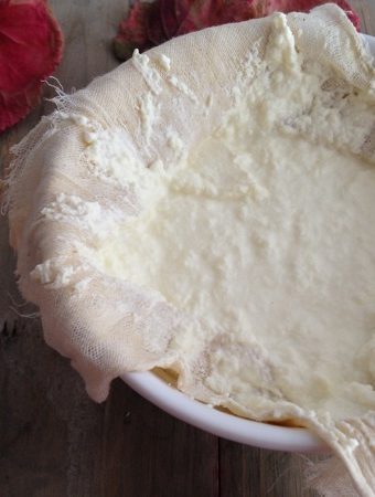 Homemade ricotta cheese