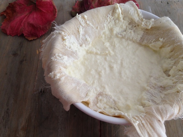 Homemade ricotta cheese