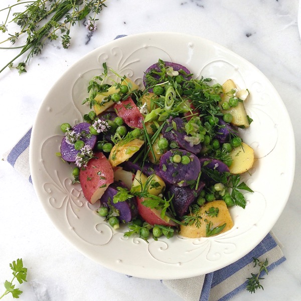 Italian Potato Salad Recipe with Heirloom Potatoes, Fresh Herbs and Olive Oil Lemon Dressing!