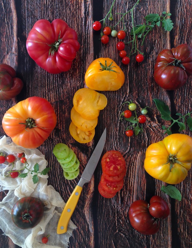 Ricotta Tomato Tart Recipe 