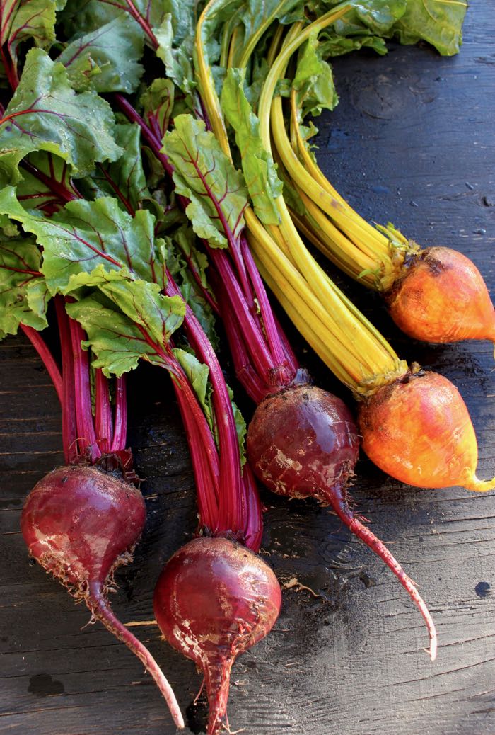 Bunch of Red and Golden Beets with Green Tops on Rustic Table