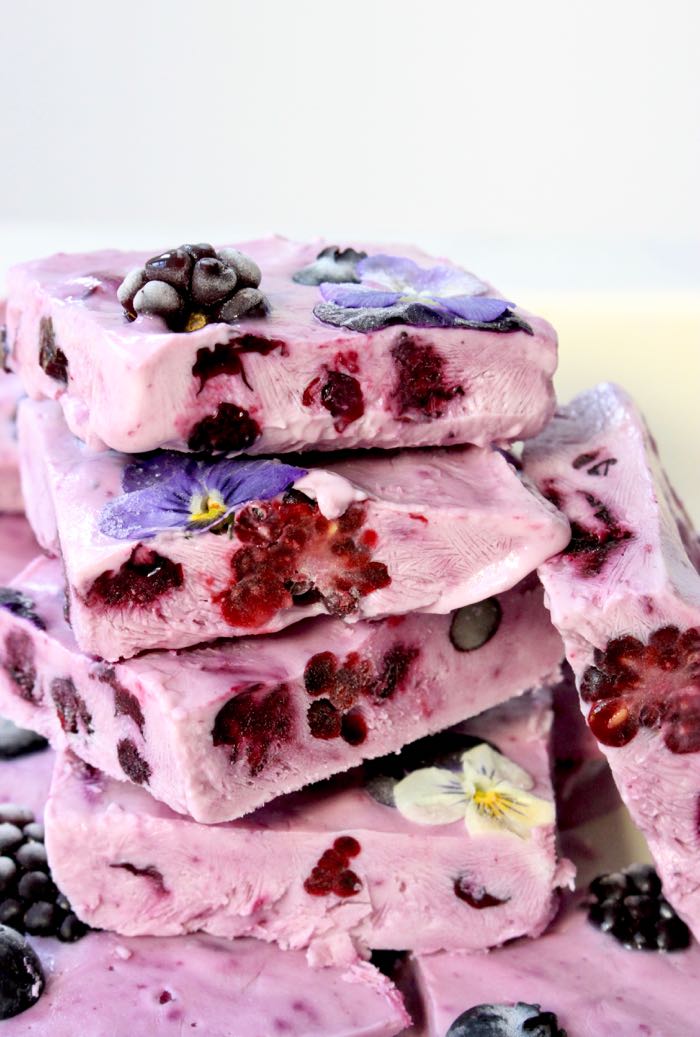 Frozen Yogurt Bars with Berries and Honey - Healthy