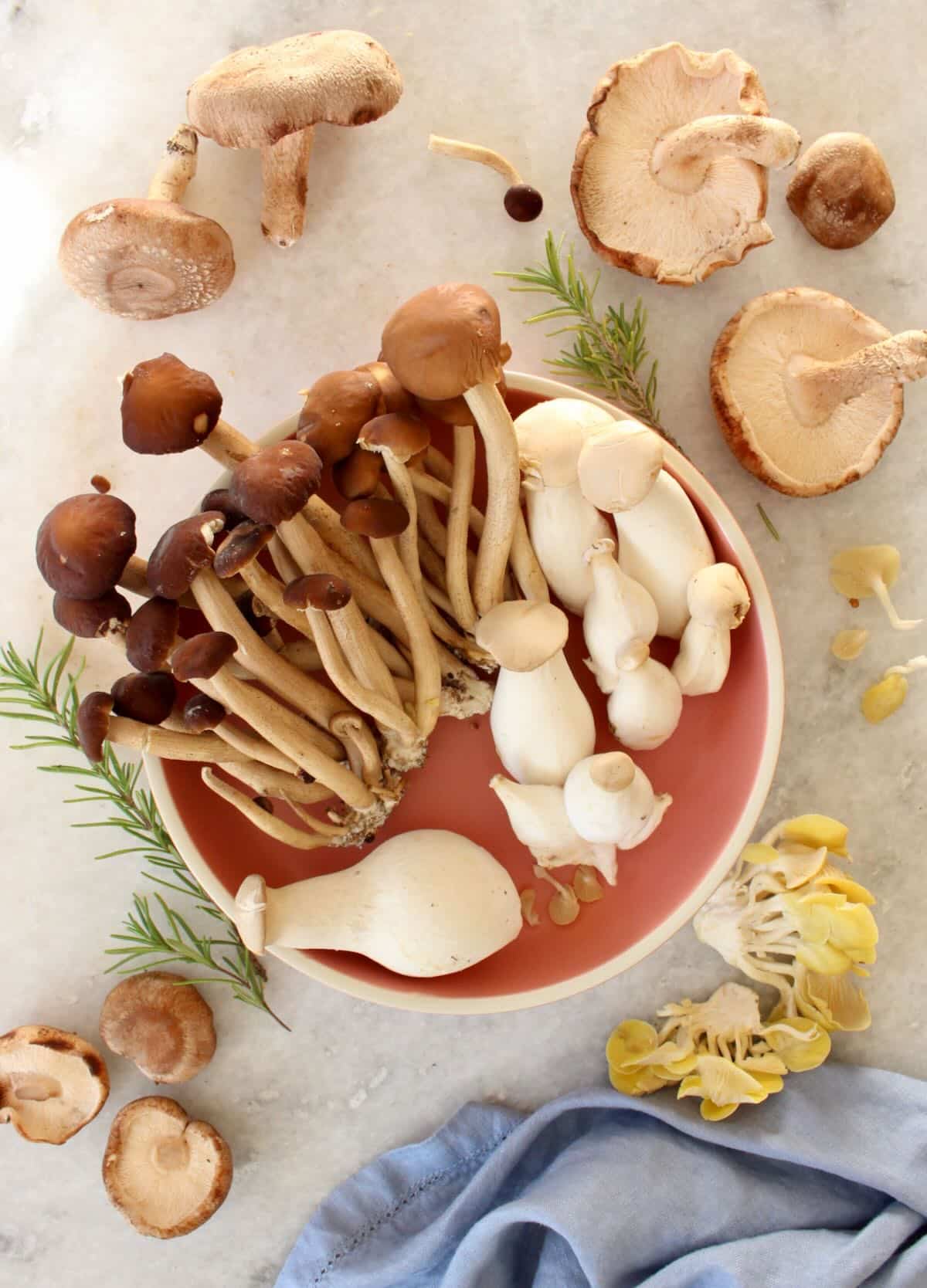 mushrooms for pot pie